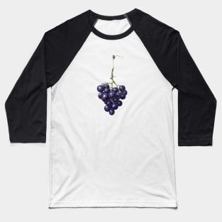 Bunch of blue grapes by Jean Bernard Baseball T-Shirt